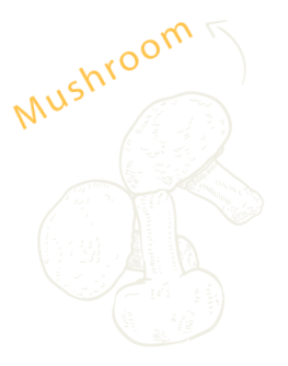 00950a68 Desi Obj 10