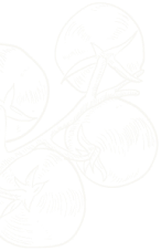 925a03fd Desi Obj 13